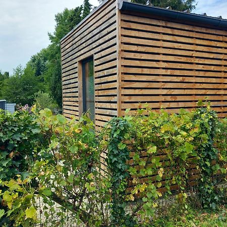 Lodge Au Vent Savigne-l'Eveque Eksteriør billede